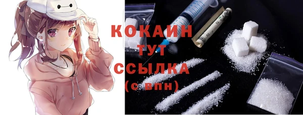 дживик Баксан