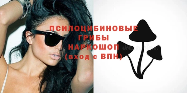 дживик Баксан