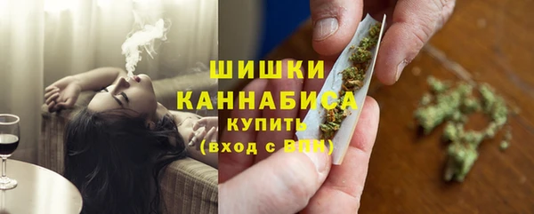молекула духа Балахна