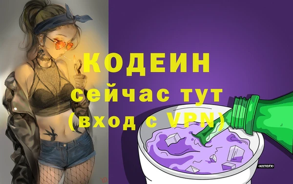 молекула духа Балахна