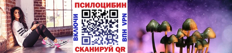 Галлюциногенные грибы Psilocybe  Терек 